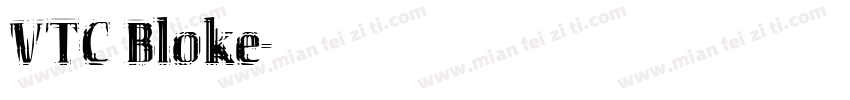 VTC Bloke字体转换